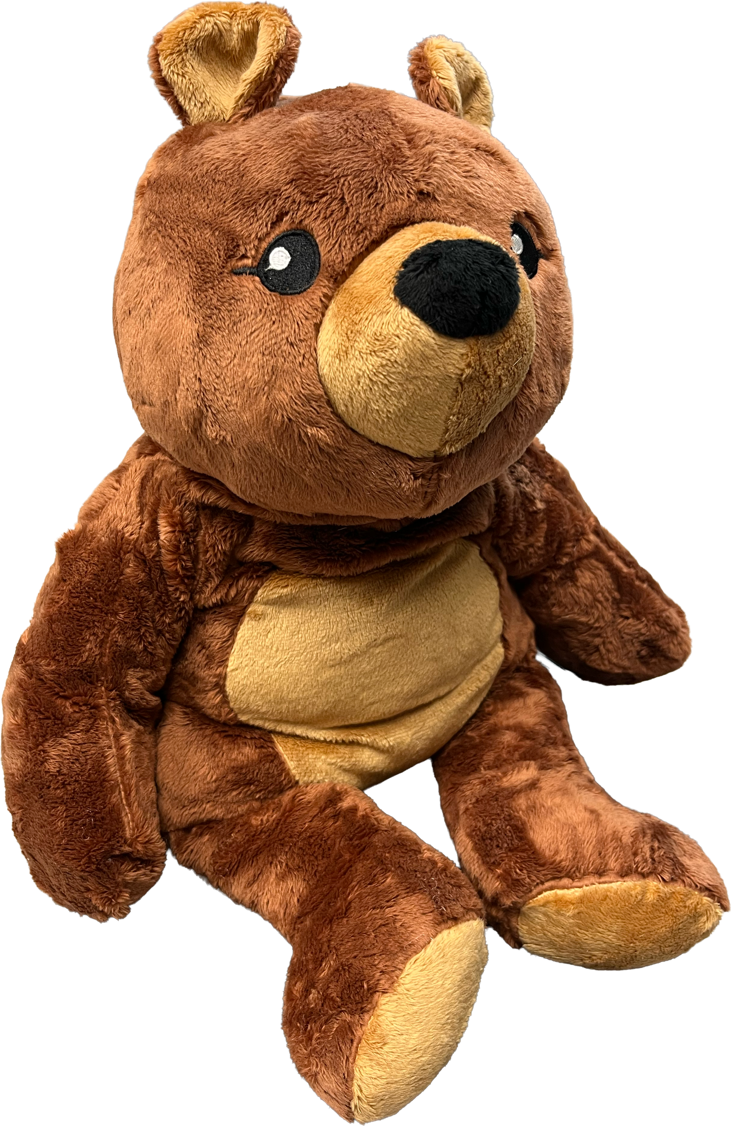 Darby the Bear