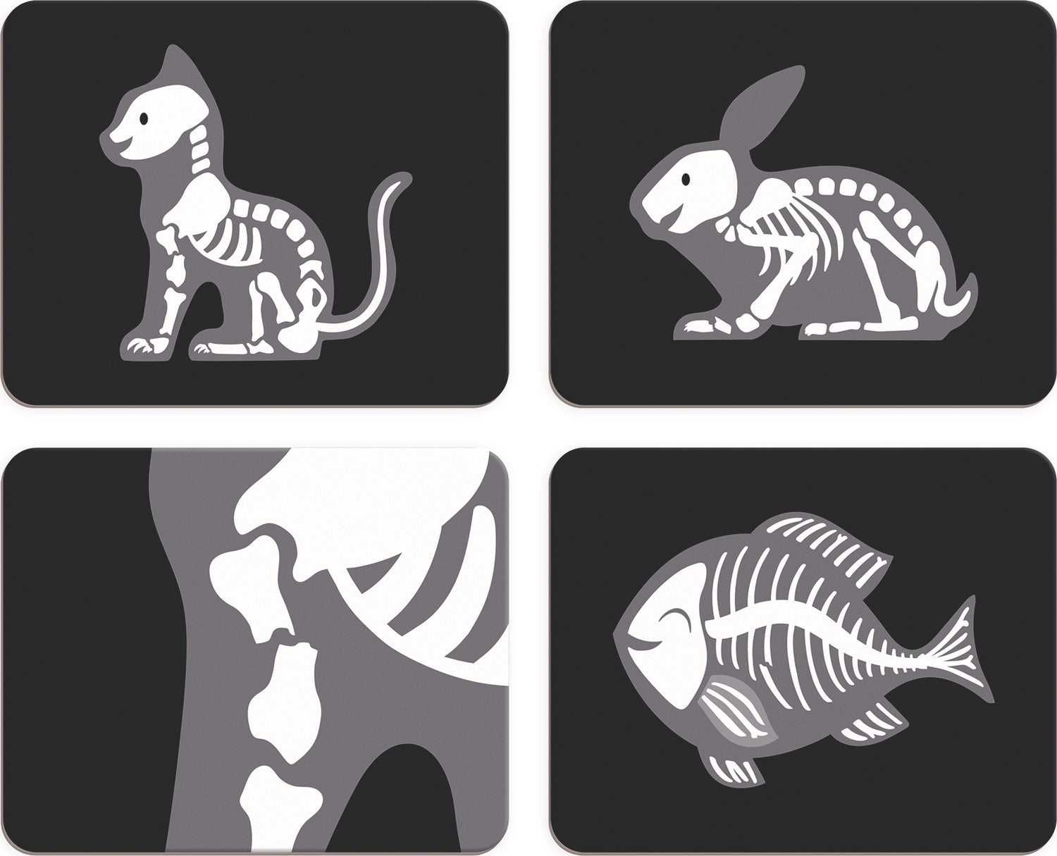 My First Veterinarian Bag