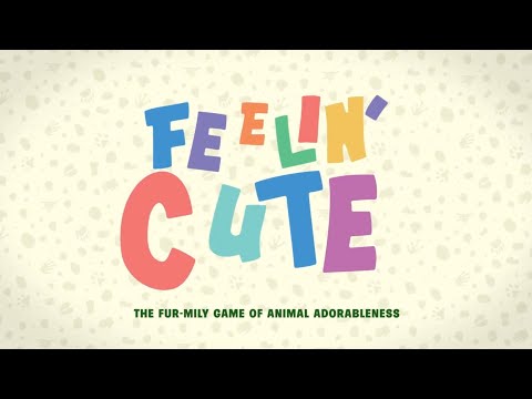 Feeling Cute Game