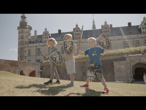 Liontouch Knight Set