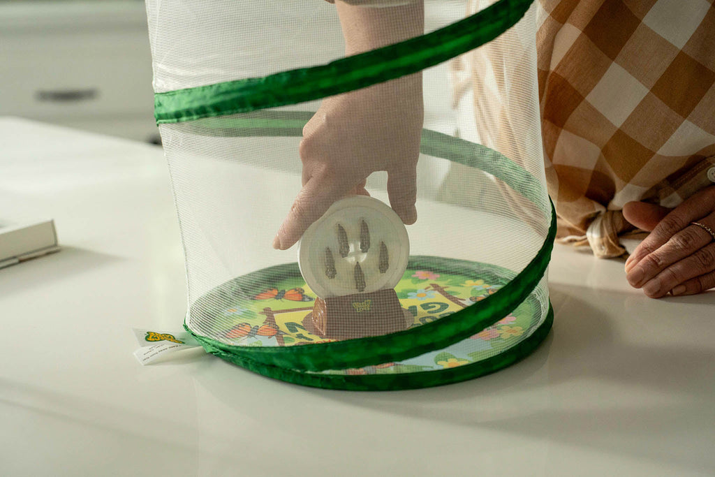 The Original Butterfly Garden Life Cycle Kit: with Prepaid Voucher