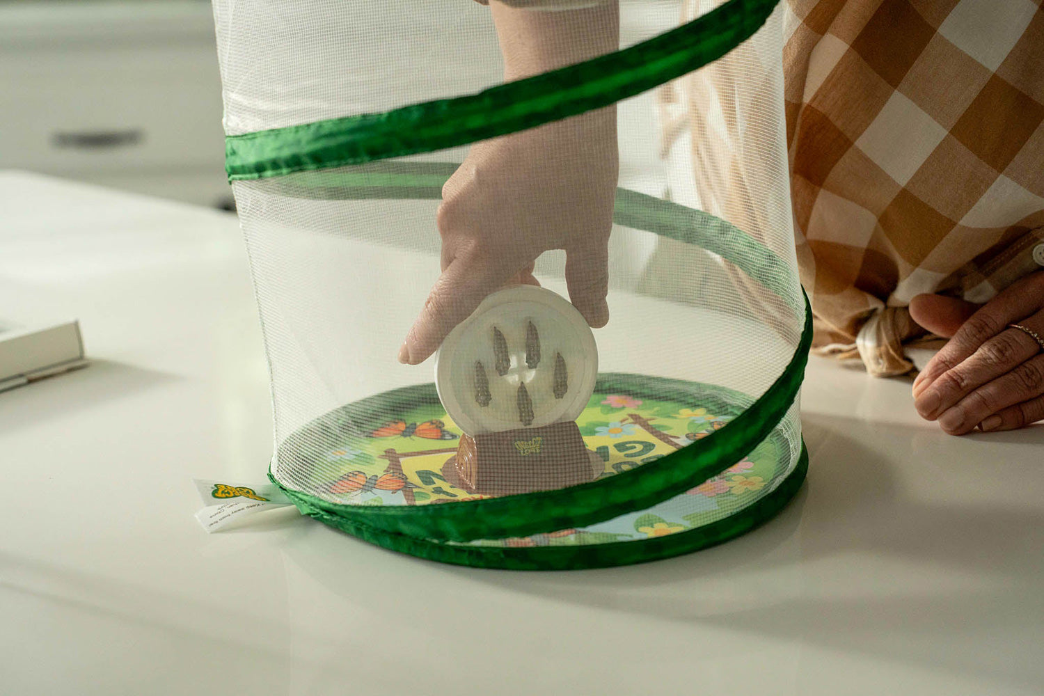 The Original Butterfly Garden Life Cycle Kit: with Prepaid Voucher